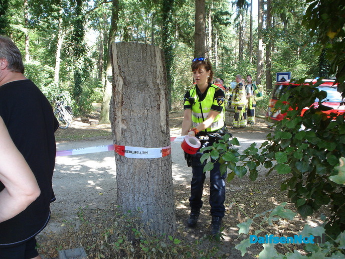 Bosbrandje onder controle - Foto: Wim