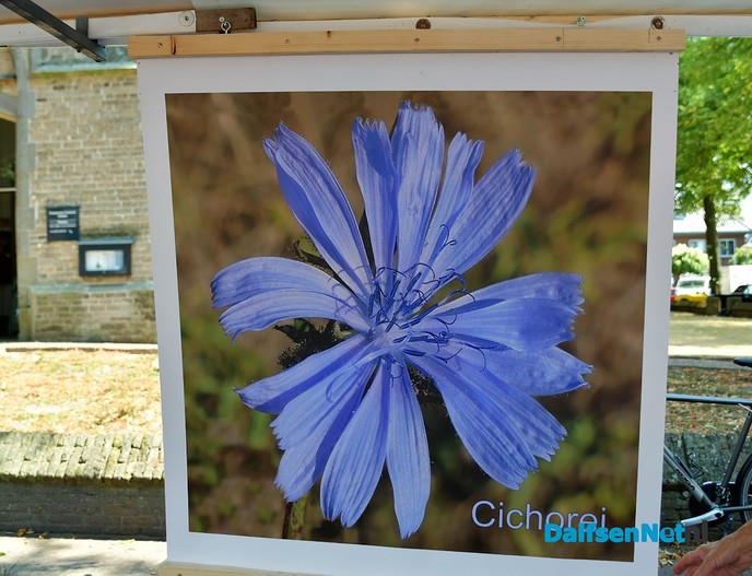 Golden Oldies op de Blauwe Bogen Dag - Foto: Johan Bokma