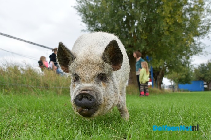 Tijdelijke stop pelgrimstocht door ziekte - Foto: Johan Bokma