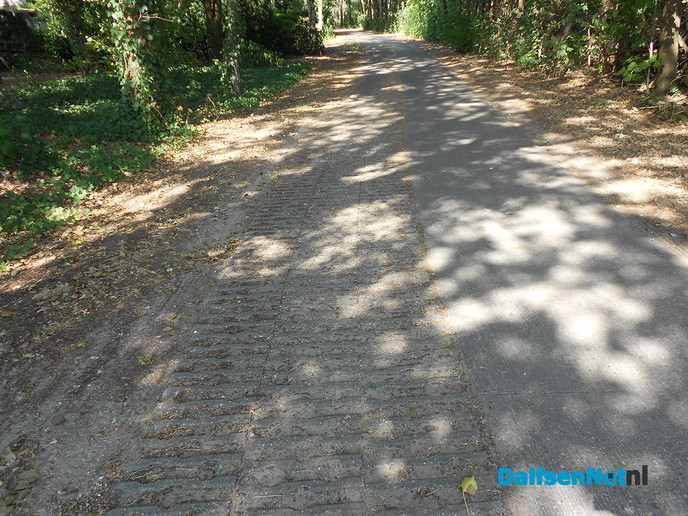 Twee in één: een weg en een fietspad