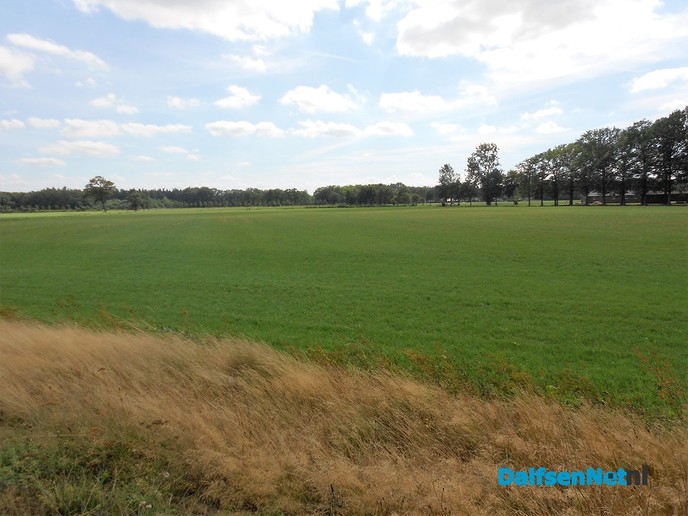 Gras begint al weer kleur te krijgen
