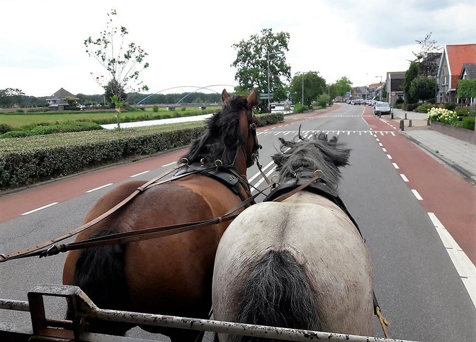 Uitstapje cliënten Rosengaerde - Foto: Eigen geleverde foto