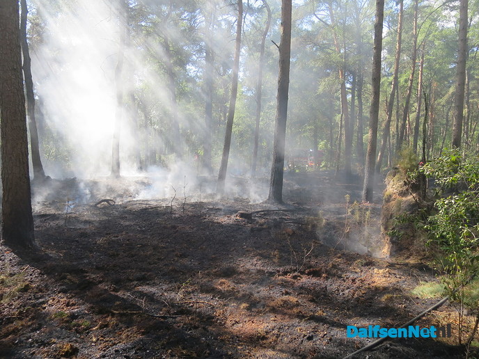 Bosbrandje onder controle - Foto: Wim