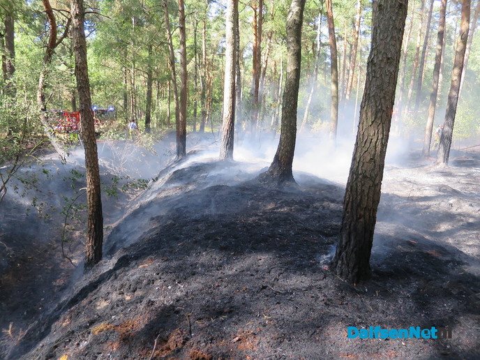 Bosbrandje onder controle - Foto: Wim