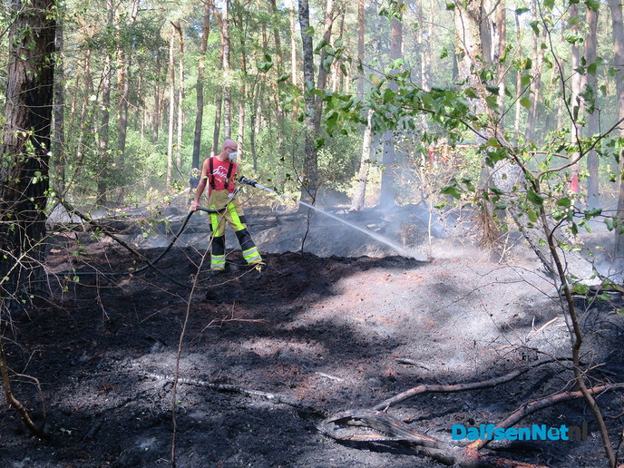 Bosbrandje onder controle - Foto: Wim