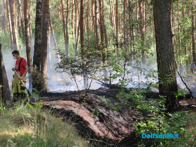 Bosbrandje onder controle - Foto: Wim
