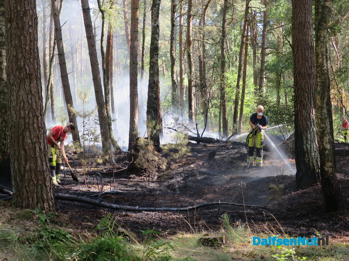 Bosbrandje onder controle - Foto: Wim