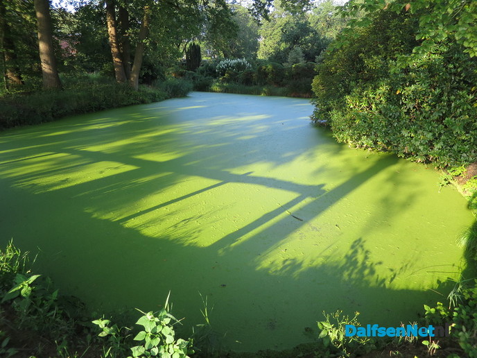Den Aalshorst, een oase van groen en rust - Foto: Wim