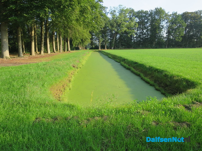 Den Aalshorst, een oase van groen en rust - Foto: Wim