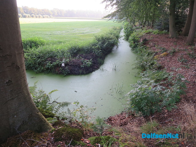 Den Aalshorst, een oase van groen en rust - Foto: Wim