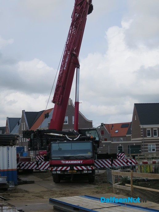 Mammoet voor een klein klusje in Dalfsen - Foto: Wim