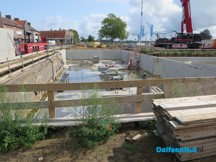 Mammoet voor een klein klusje in Dalfsen - Foto: Wim