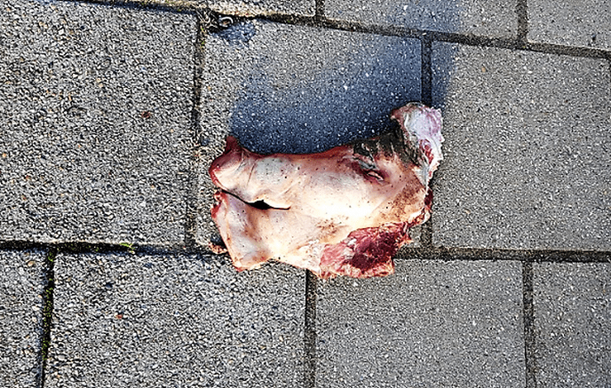 Geen karbonade - Foto: Politie Vechtdal