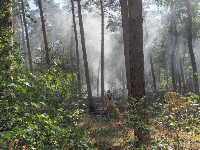 Bosbrandje onder controle