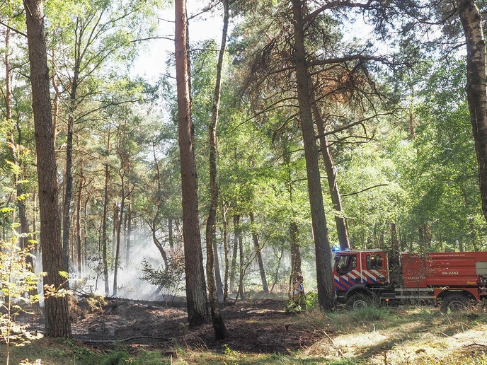 Bosbrandje onder controle