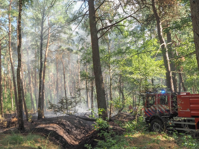 Bosbrandje onder controle