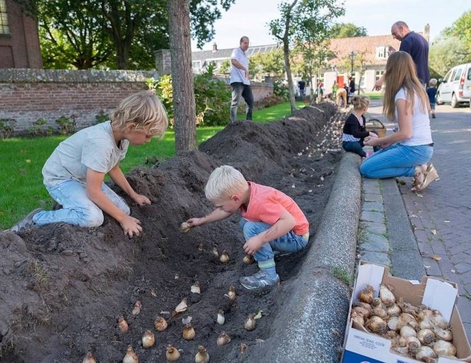 200.000 bloembollen voor bijen en insecten - Foto: Eigen geleverde foto