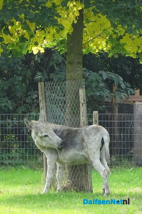 Nazomeren op de Lindehoeve - Foto: Ingezonden foto