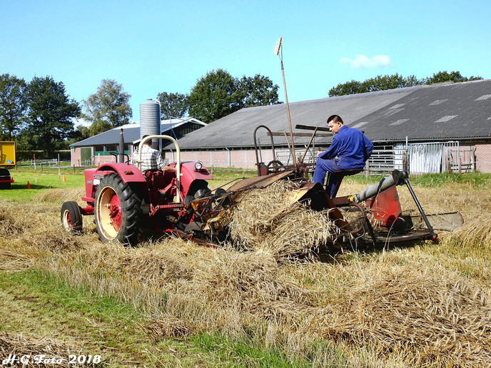 Oogstdag bij de Spokkeriete