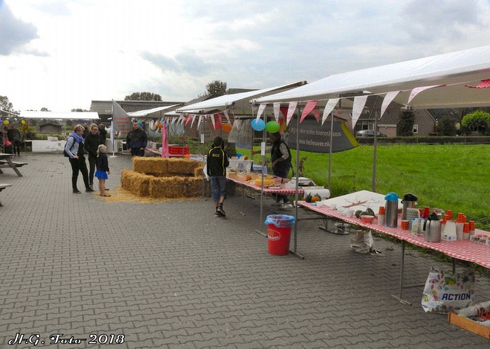 Proef Dalfsen op verschillende locaties.(foto update)