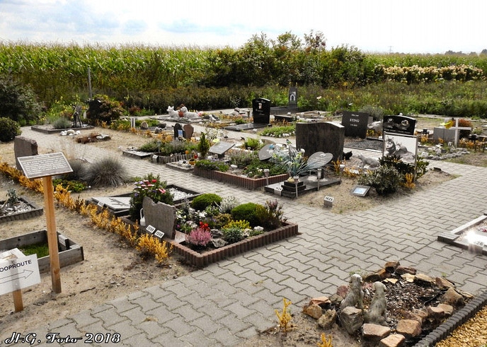 Proef Dalfsen op verschillende locaties.(foto update)