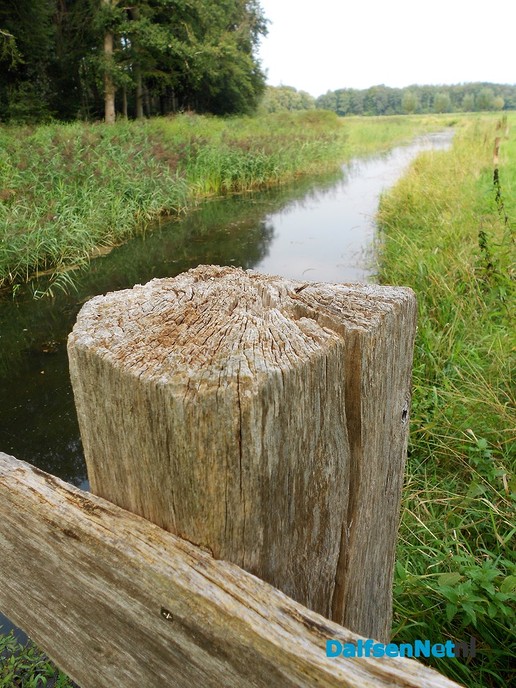 Den Aalshorst