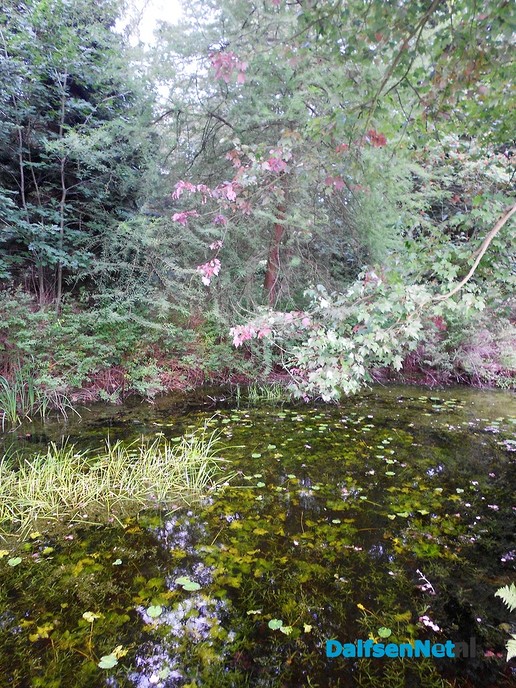 Den Aalshorst