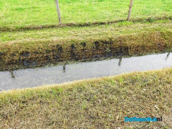 Sloten en watergangen schoonmaken