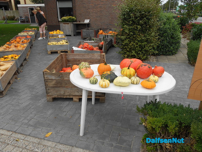 Pompoenen te koop