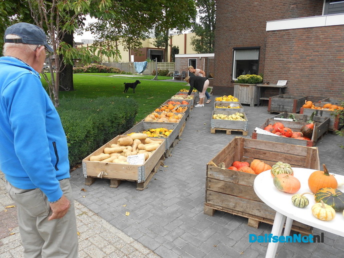 Pompoenen te koop