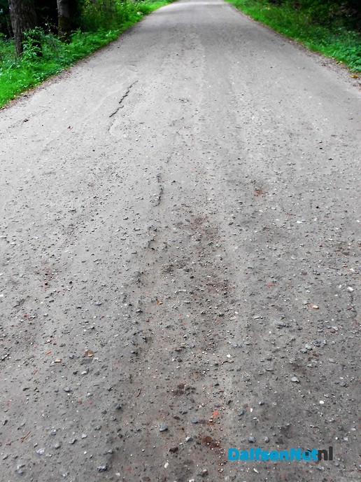 Prachtig proefstukje Diezerstraat en meer