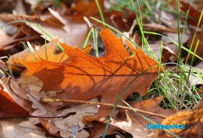 Herfst - Foto: Ingezonden foto