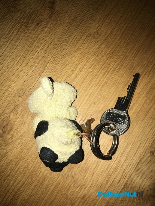 Sleutel gevonden - Foto: Ingezonden foto