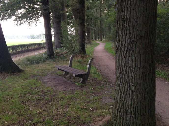 Niet achterover leunen - Foto: Eigen geleverde foto
