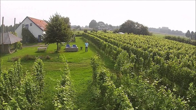 B&B Wijnstaete in de prijzen