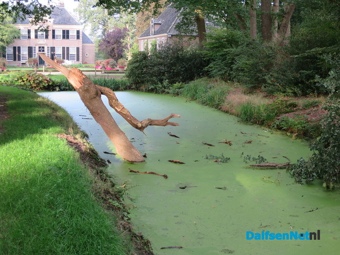 De droogte eist zijn tol in de natuur - Foto: Wim