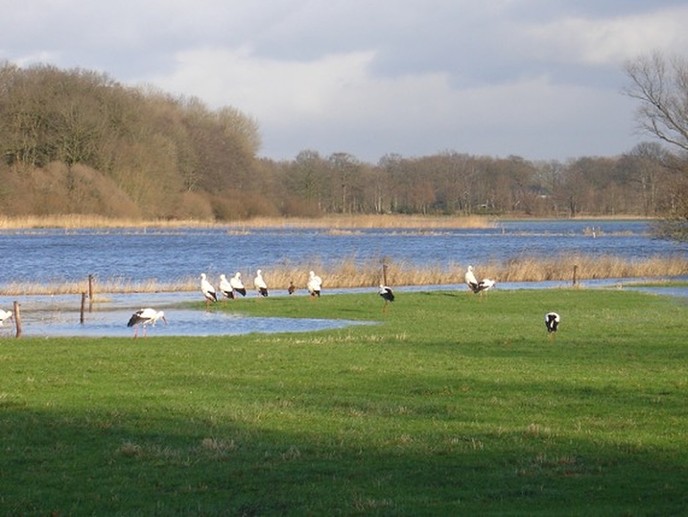 Vechtdal benoemd tot een van de leukste, onontdekte natuurparken in Nederland