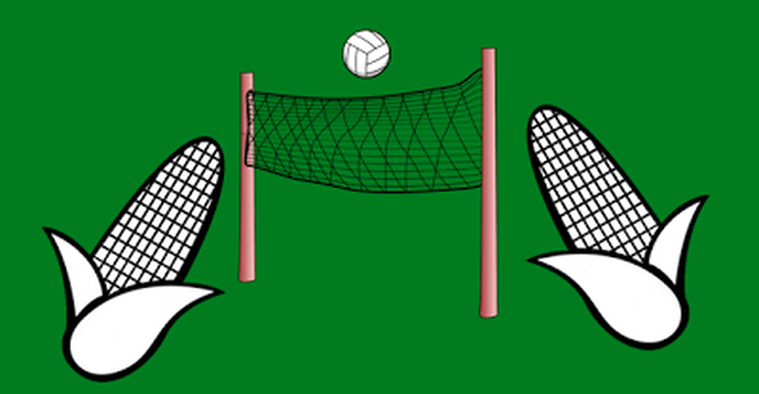 Maïsvolleybal: geef je op - Foto: Eigen geleverde foto