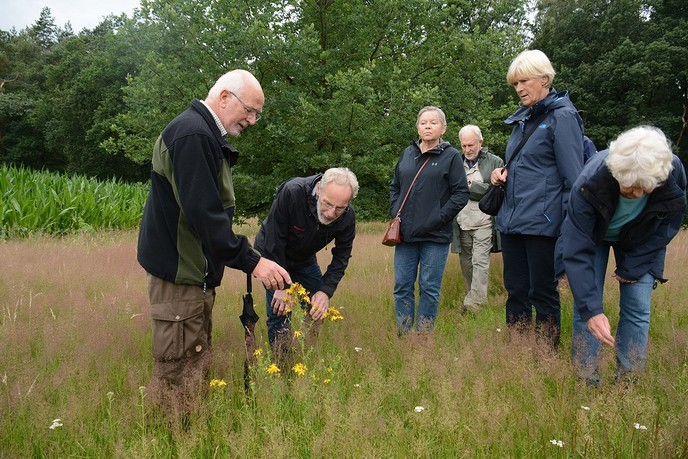 Workshop ‘Welkom in ons landschap’ - Foto: Eigen geleverde foto
