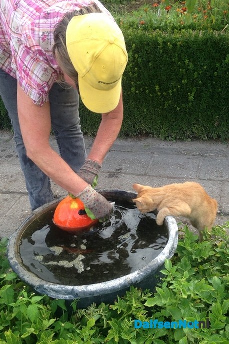 Nazomeren op de Lindehoeve - Foto: Ingezonden foto
