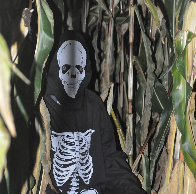Gespook in het mais - Foto: Eigen geleverde foto