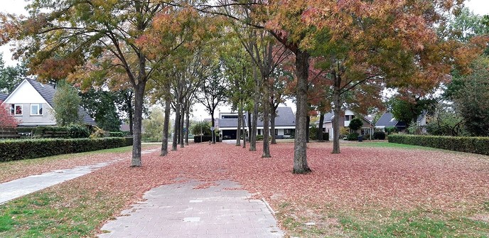 Ingezonden herfstfoto - Foto: Eigen geleverde foto