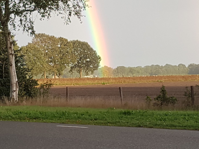 Sol eh doar veur denn bos dan stoan? - Foto: Eigen geleverde foto