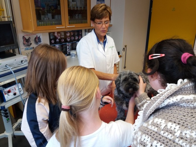 Roefeldag weer een succes - Foto: Eigen geleverde foto