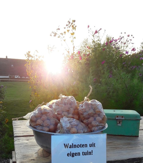 Pluktuin aan de molenhoekweg!