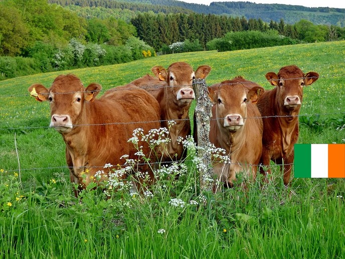 Agrariërs op reis! Is het gras groener bij de buren? - Foto: Eigen geleverde foto