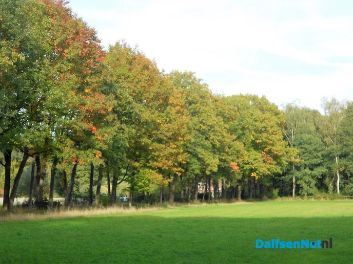 Zo maar wat herfstplaatjes
