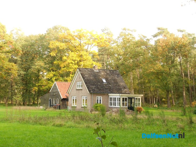 Zo maar wat herfstplaatjes