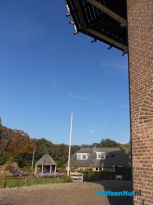 Alles in bloei rond de molen