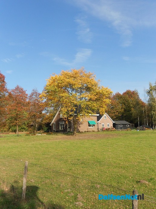 Herfst in kleuren